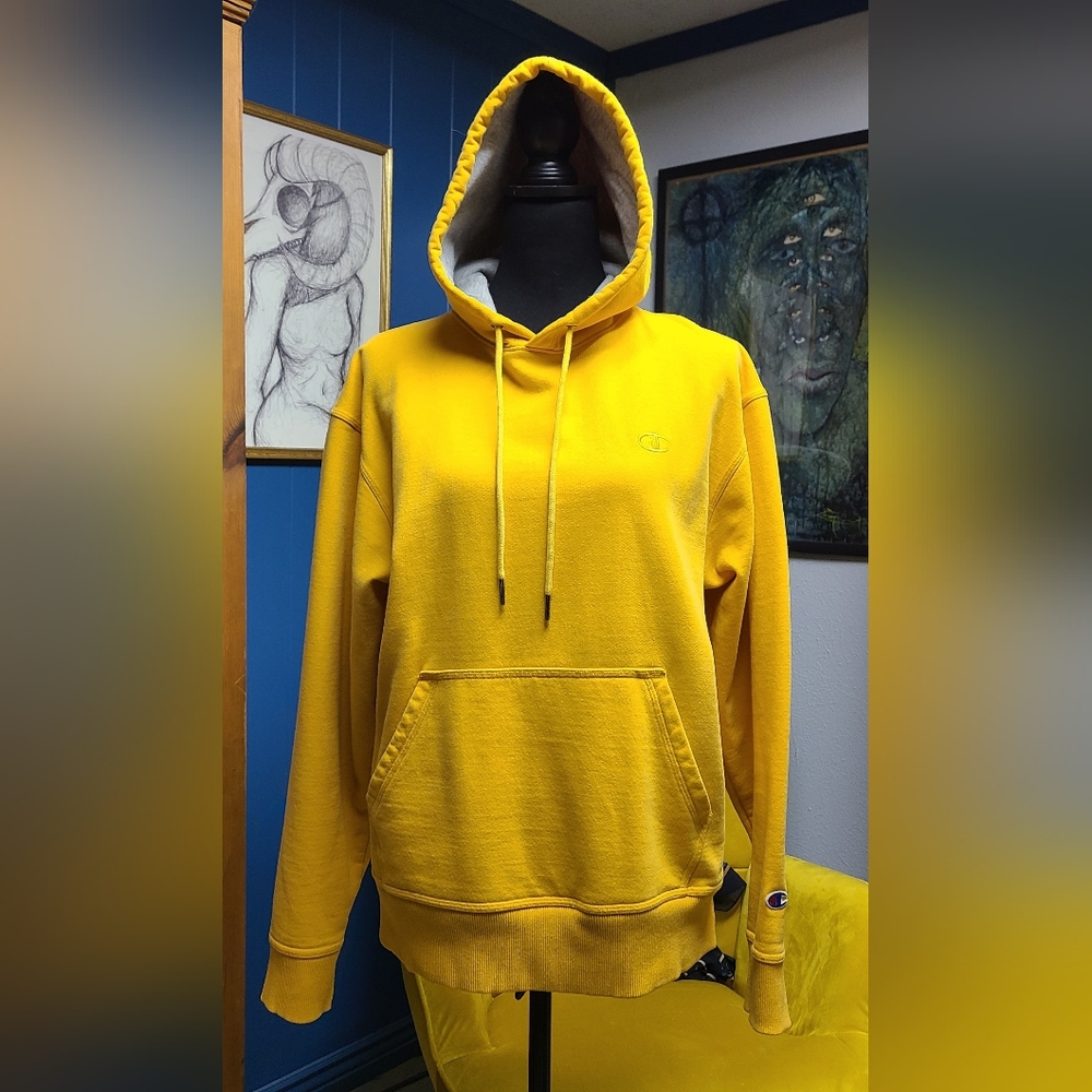 Champion Hoodie Size M